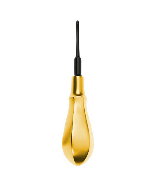 Bone Awl