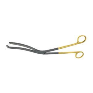 Lifter Cheatle Forceps
