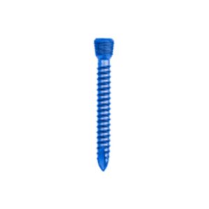 Locking Head Screw  (for Narrow & Broad DCP Locking Plate SS)