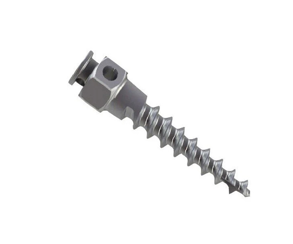 RF Anchorage Mini Screw