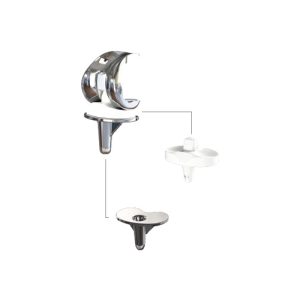 RPS High Flexion Rotating Bearing Total Knee system